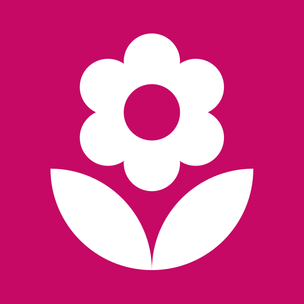 www.viragkuldesmiskolc.hu